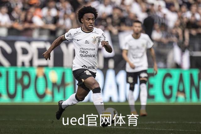 ued官网体育公司简介展示图